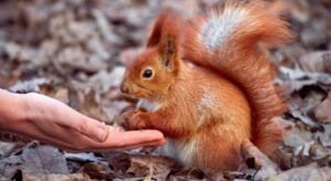 Prévoyance et anticipation des aléas de la vie.